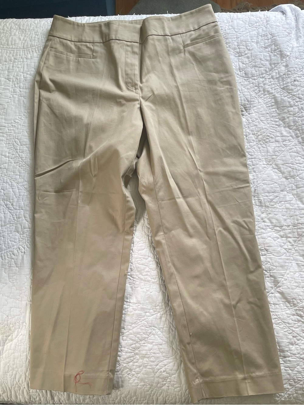 Ann Taylor Factory Cropped Straight-Leg Pants in Light Khaki